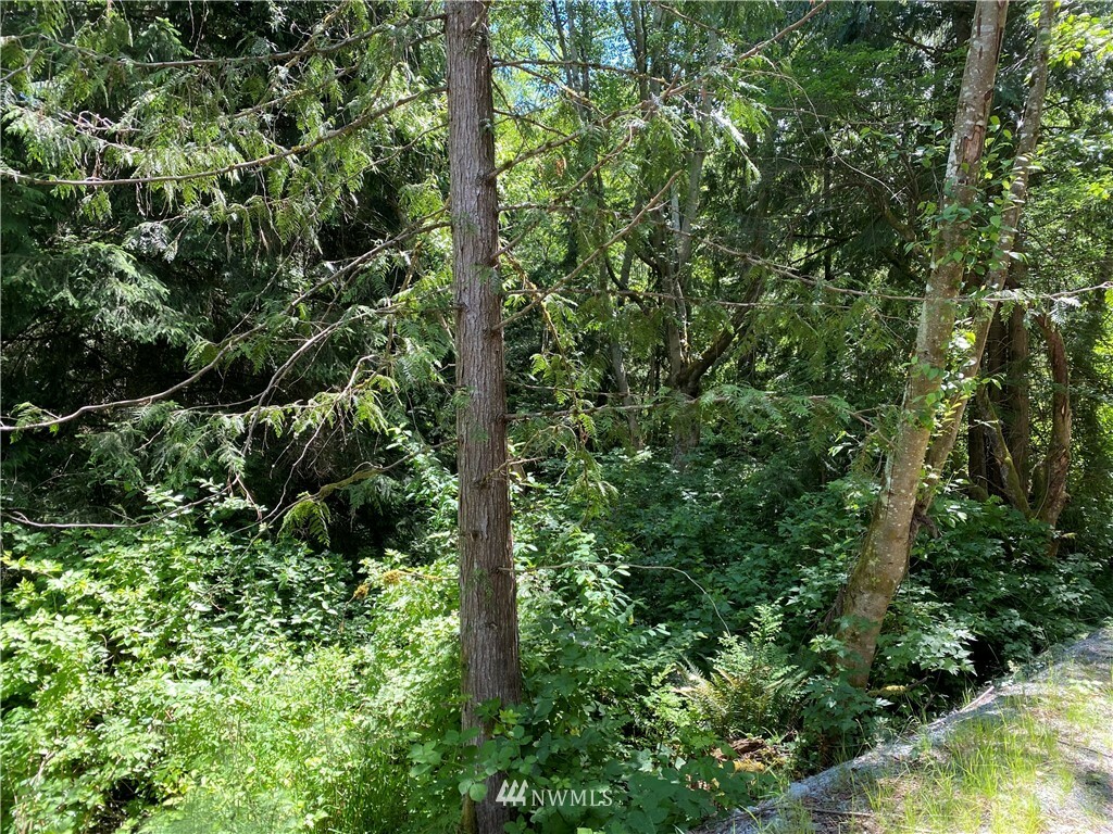 Property Photo:  21562 Little Mountain Road  WA 98274 