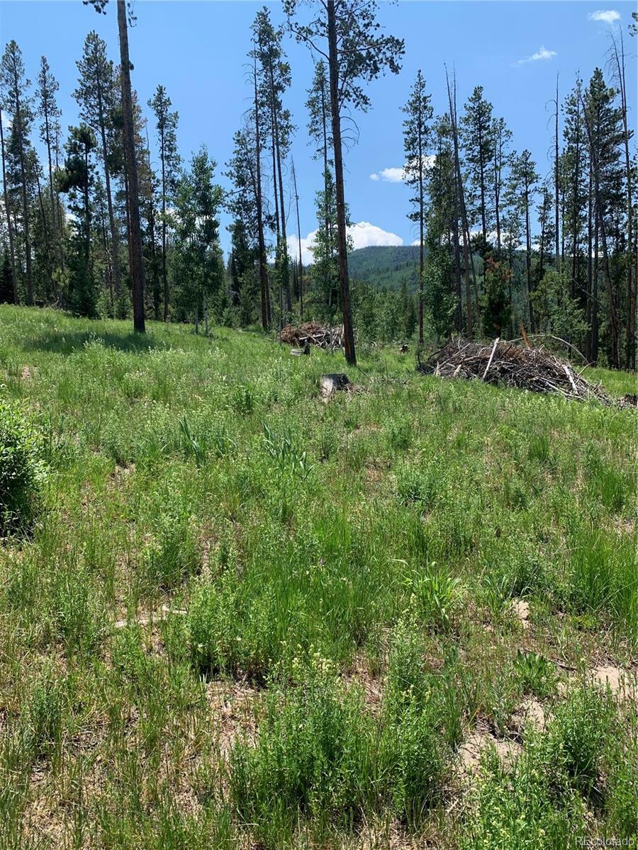 Property Photo:  32448 Ute Trail  CO 80467 