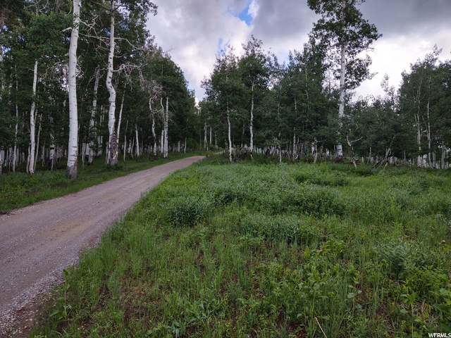 Property Photo: Address not disclosed UT 84629