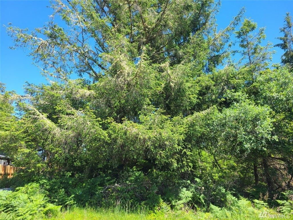 Property Photo: 617 Aster Ct SE WA 98569