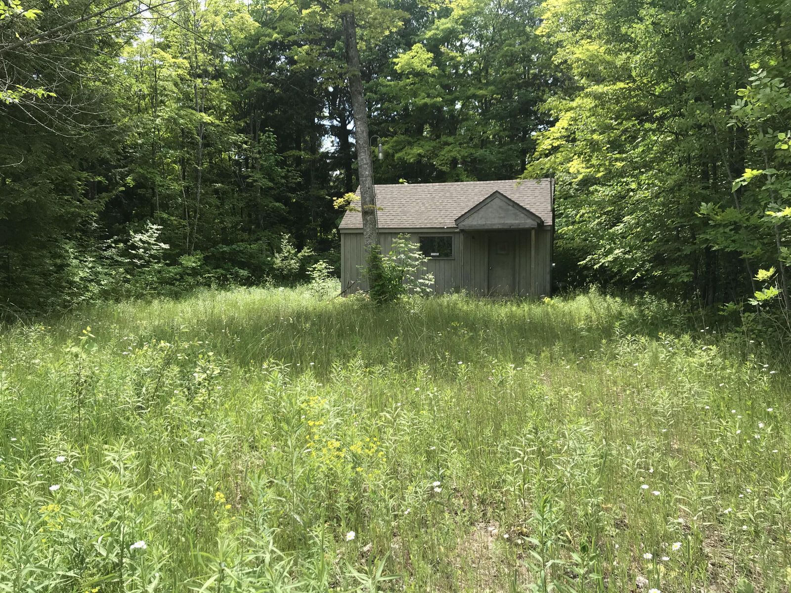 Property Photo:  4796 N Pontchartrain Shores Rd  MI 49745 