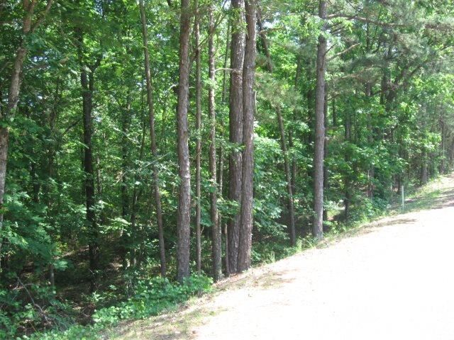 Property Photo: 00 Battle Trail AR 72223