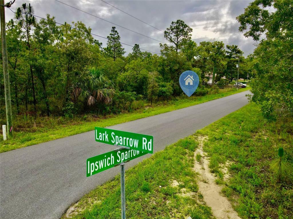 Property Photo:  12179 Ipswich Sparrow Road  FL 34614 