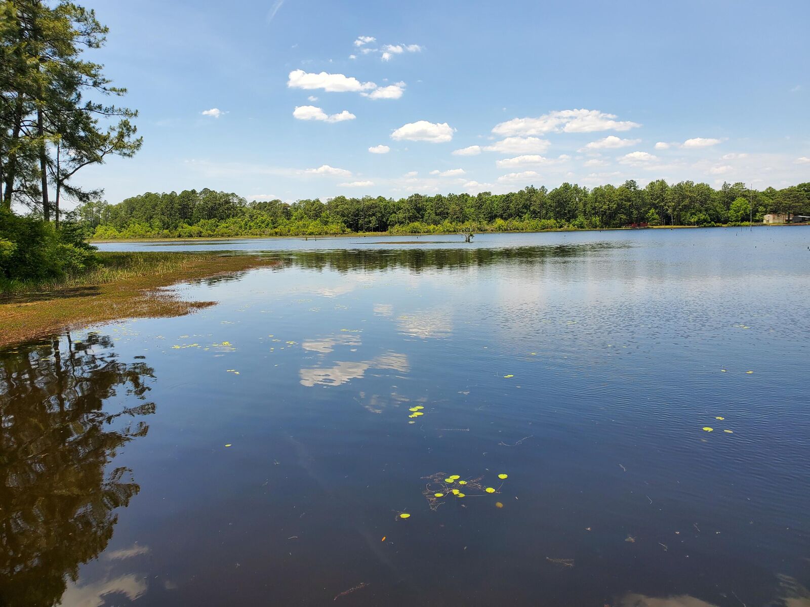 Property Photo:  Lot 11 Ivalt Court  FL 32433 