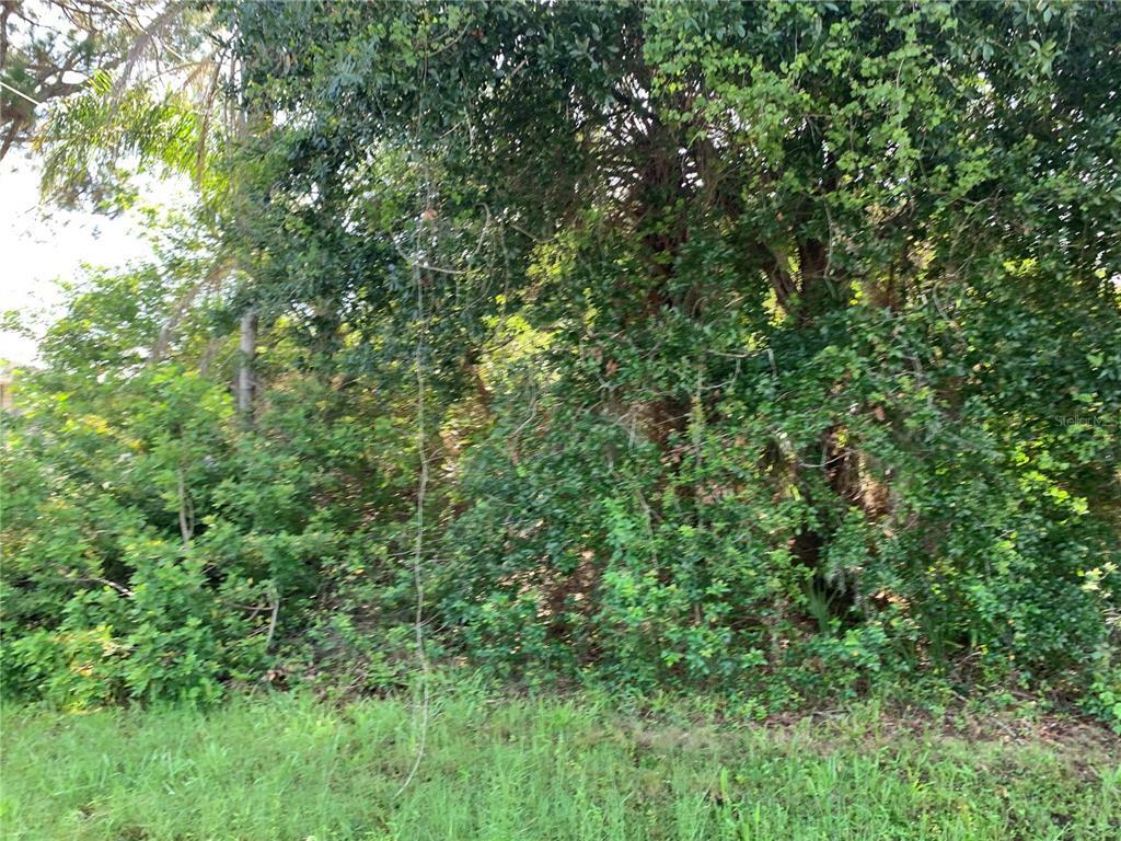 Property Photo: 11667 Oceanspray Boulevard FL 34224