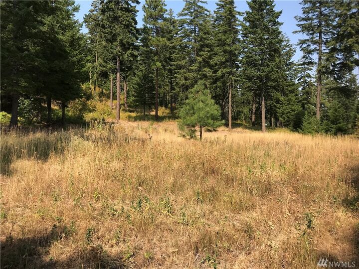 Lot H Masterson Road  Cle Elum WA 98922 photo