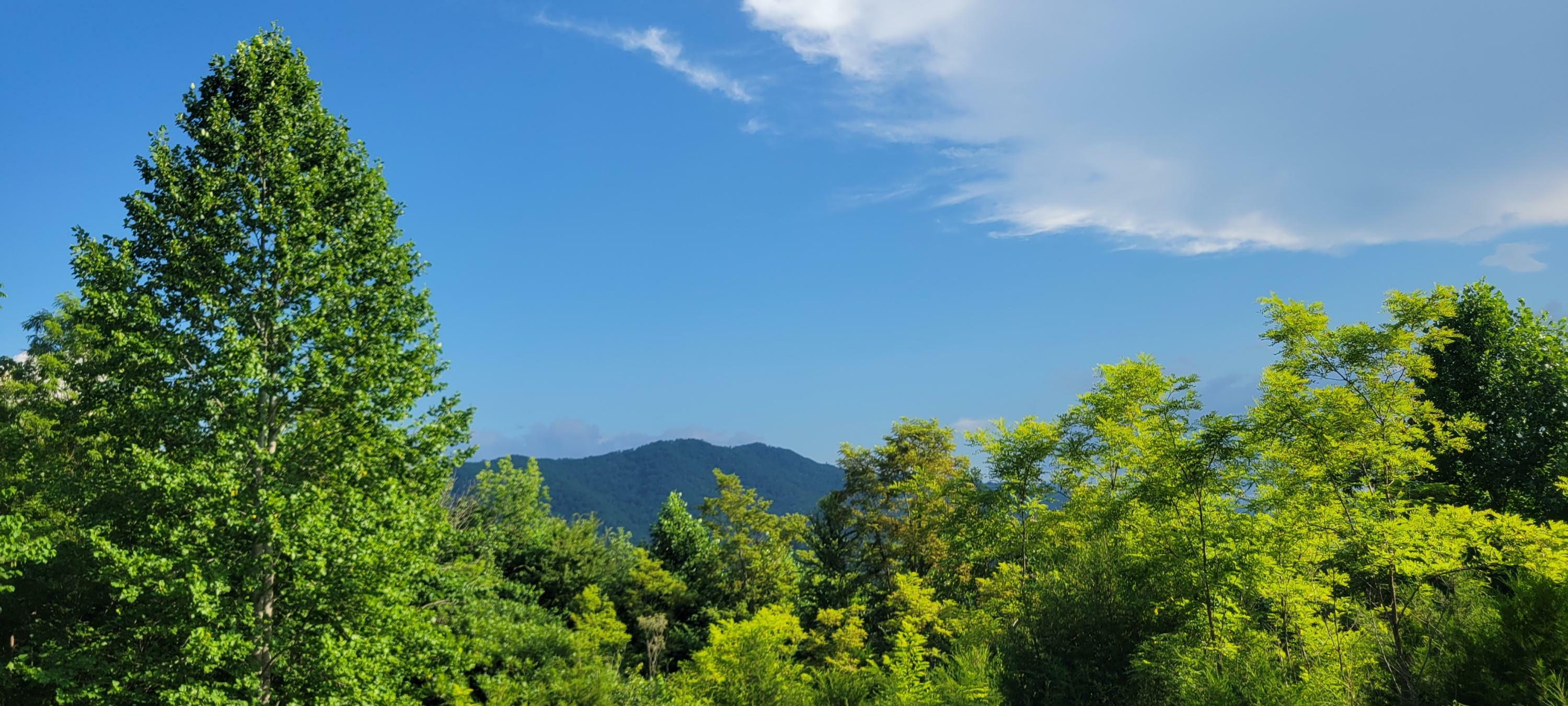 Property Photo:  Hunter Ridge Way  TN 37727 