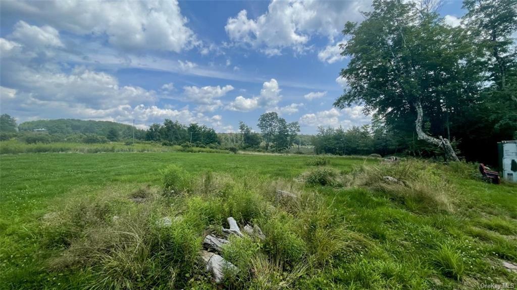 Property Photo:  Anderson Road  NY 12768 