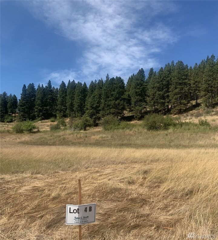 Property Photo: 0 Lot 4-B Ranch Rd WA 98922