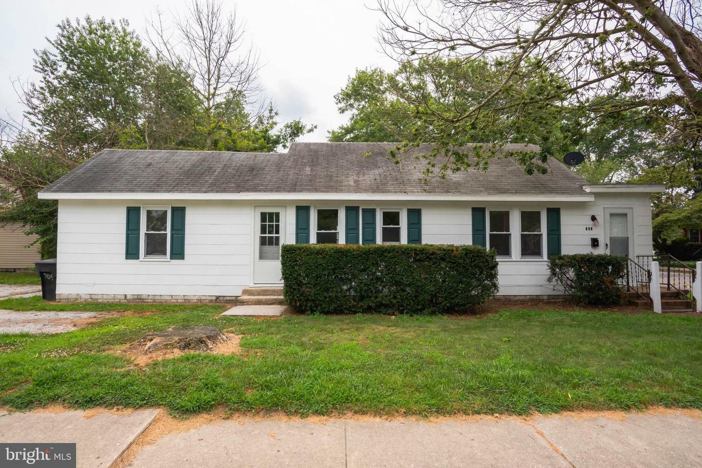 Property Photo:  705 Roger Street  MD 21801 