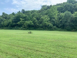 Property Photo:  4 Love Hollow Rd  TN 37074 