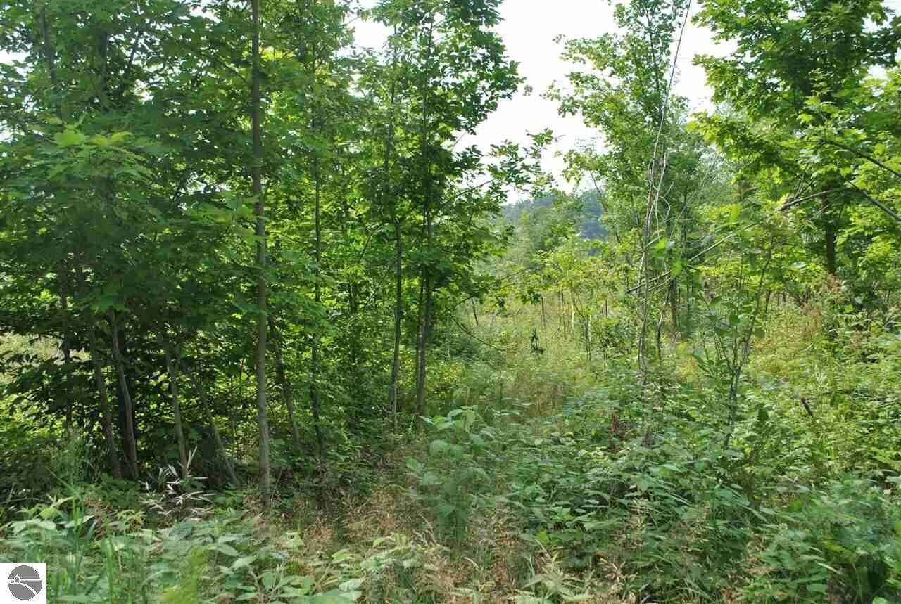 Property Photo:  Vl 30 Acres E 20 Road  MI 49668 