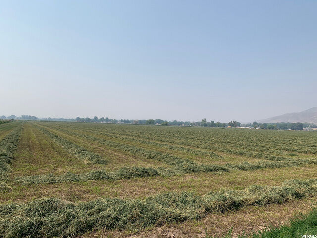 Address not disclosed  Elsinore UT 84724 photo