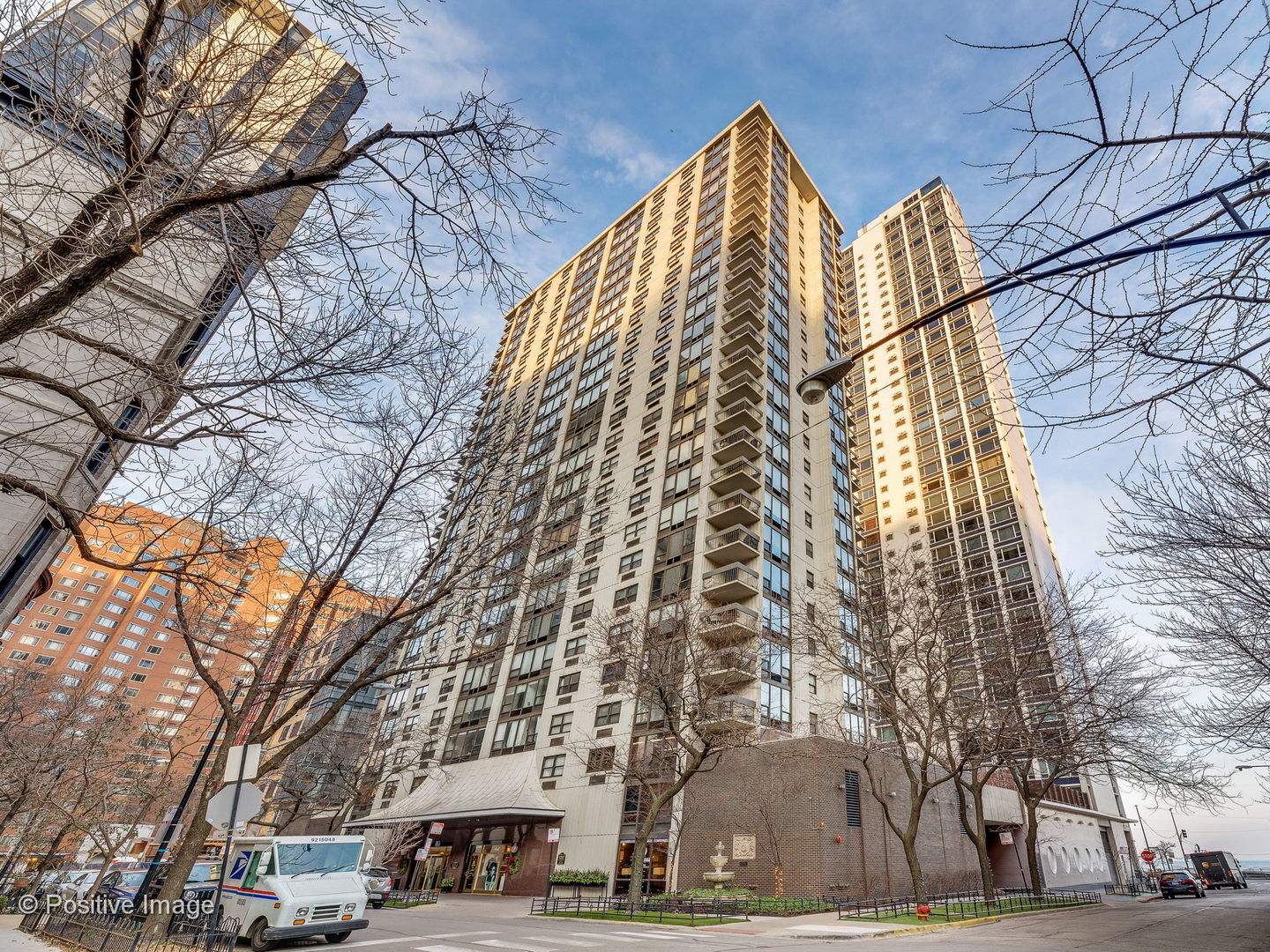 Property Photo: 1313 N Ritchie Court 2507 IL 60610