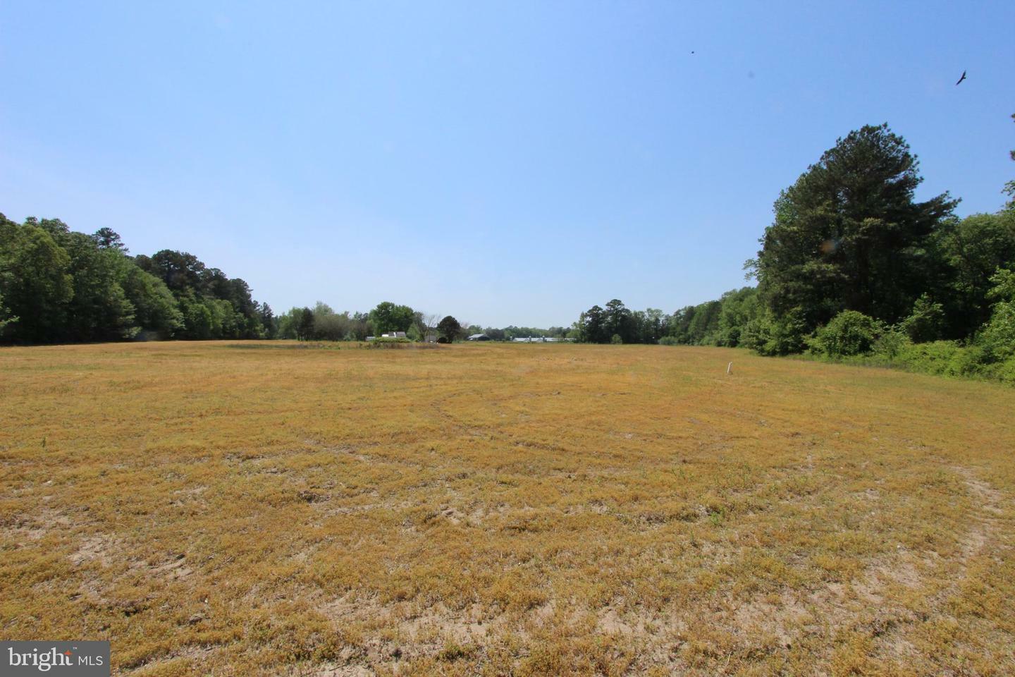 Property Photo:  Tanyard Rd  MD 21655 