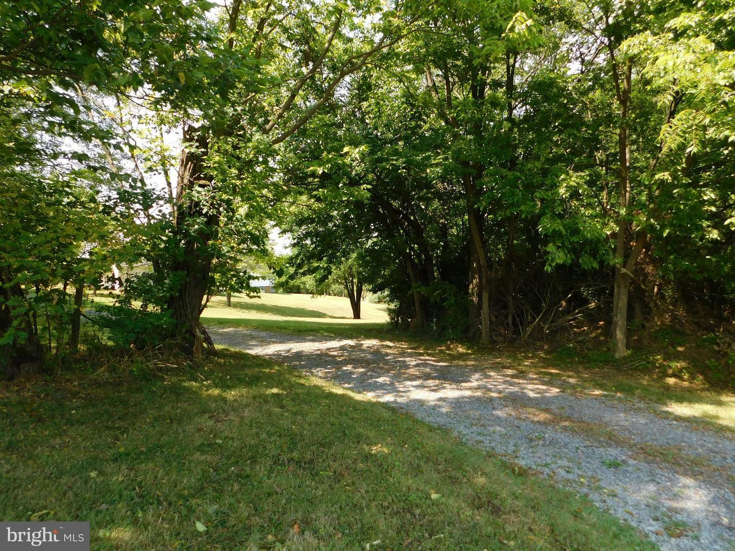 Property Photo:  147 Martz Drive  VA 22844 