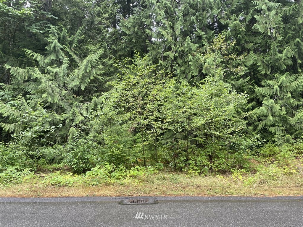 Property Photo:  0 Nebraska Street NE  WA 98290 