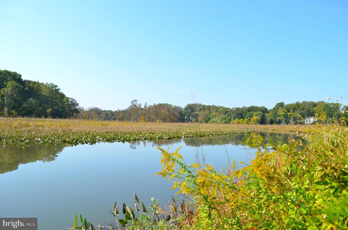 Property Photo:  8259 Clifton Farm Court  VA 22306 