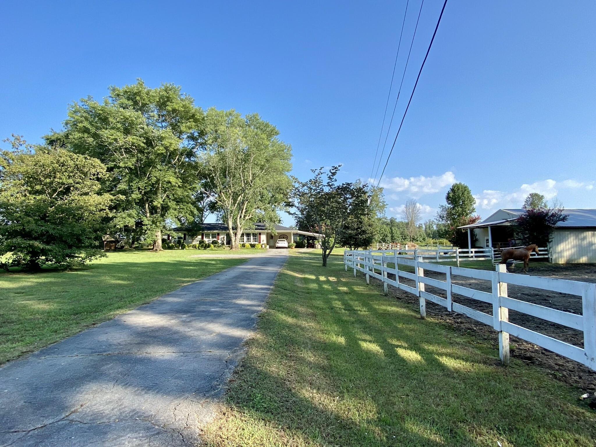 Property Photo:  147 Shelton Dr  TN 38481 