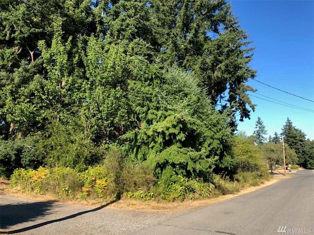 Property Photo:  175 E Eugene St  WA 98339 