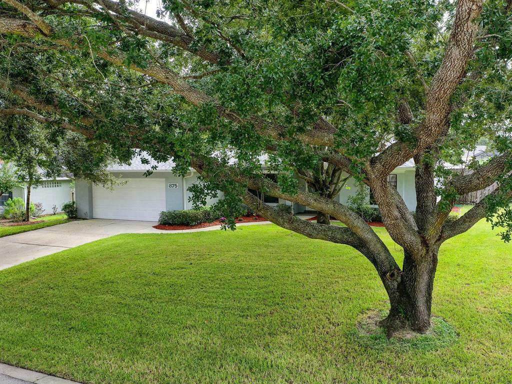 Property Photo:  875 Club Hills Drive  FL 32726 