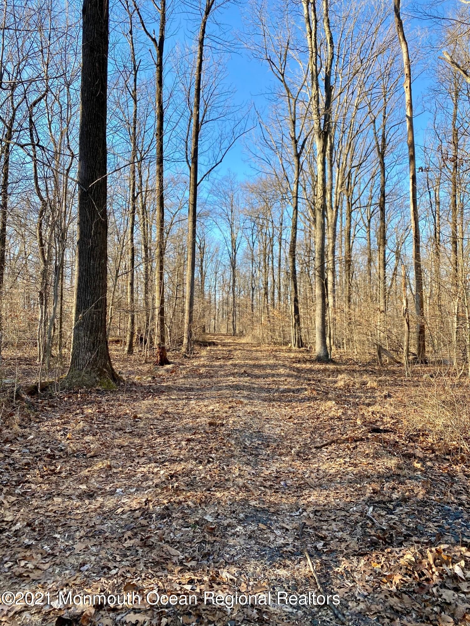 Property Photo: 0 Ridge Road NJ 08851