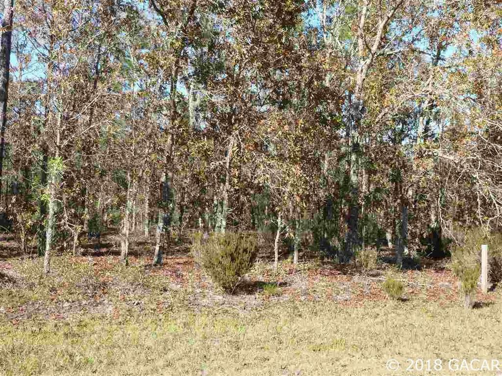 Property Photo:  000 Silver Dollar Drive  FL 32640 