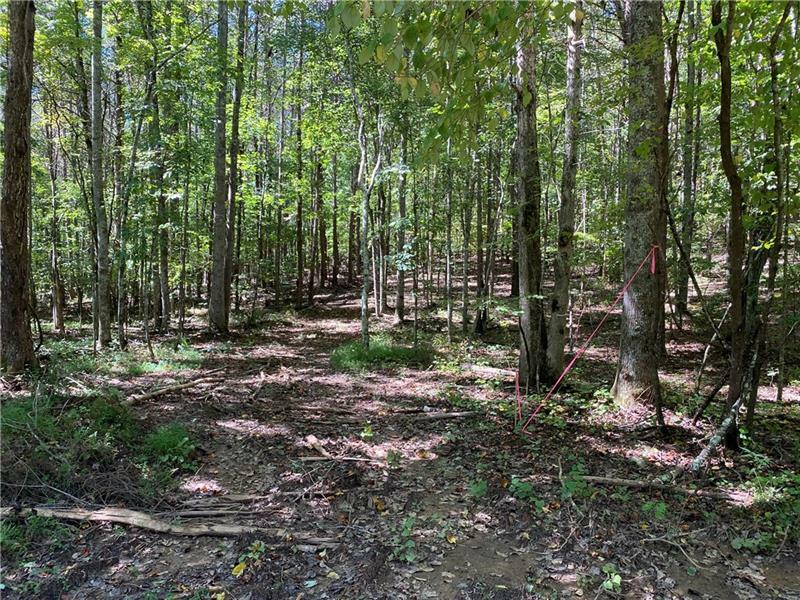 Property Photo:  Lot 17 Mineral Springs Road  GA 30107 