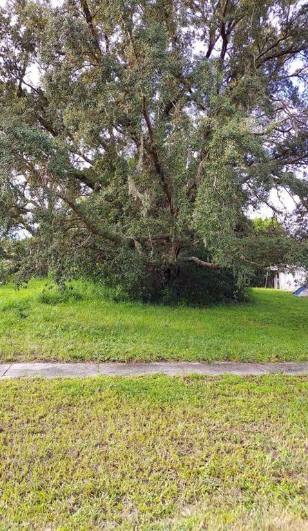 Property Photo: 6338 Fox Briar Trail FL 32818