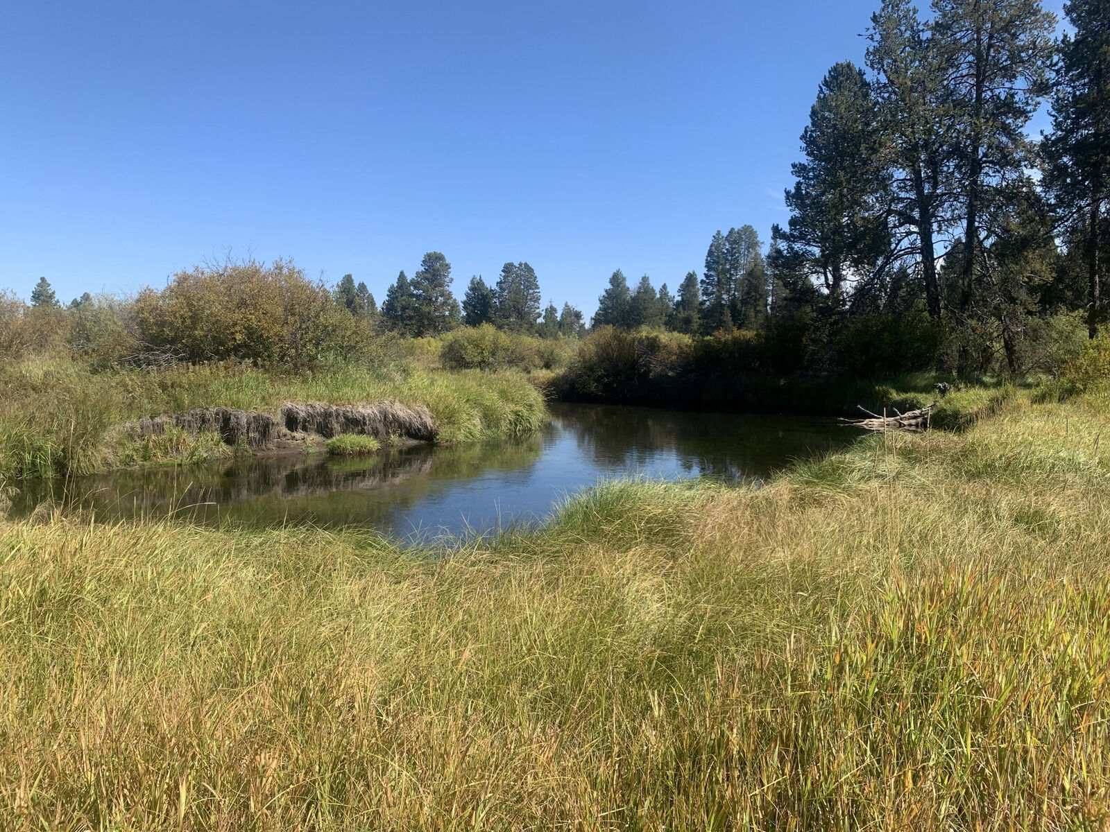 Property Photo: 16714 Contorta Place OR 97739