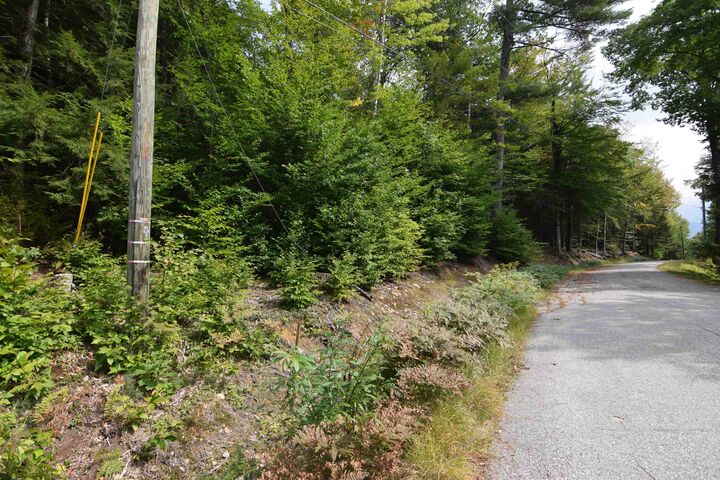 Property Photo: 49 &Amp 50 Tree Line Road NH 03285