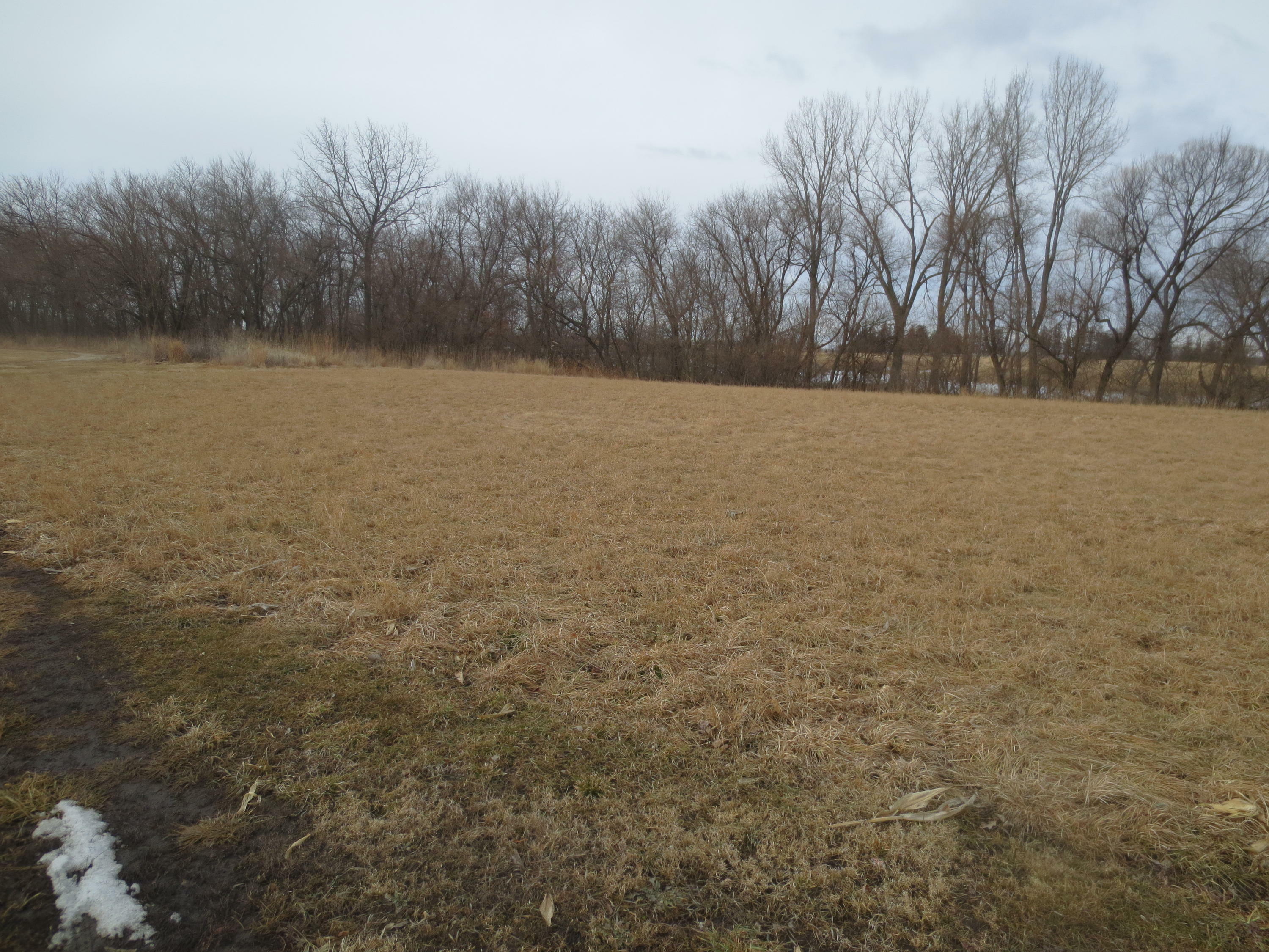 Property Photo:  Lot #210 W 4th Street  IA 50046 