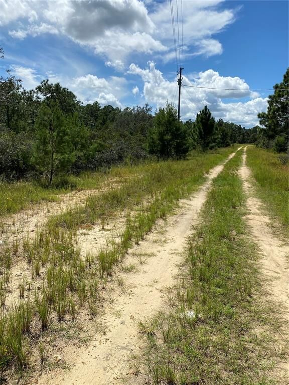 Property Photo:  0 Amy Carter Court  FL 33898 