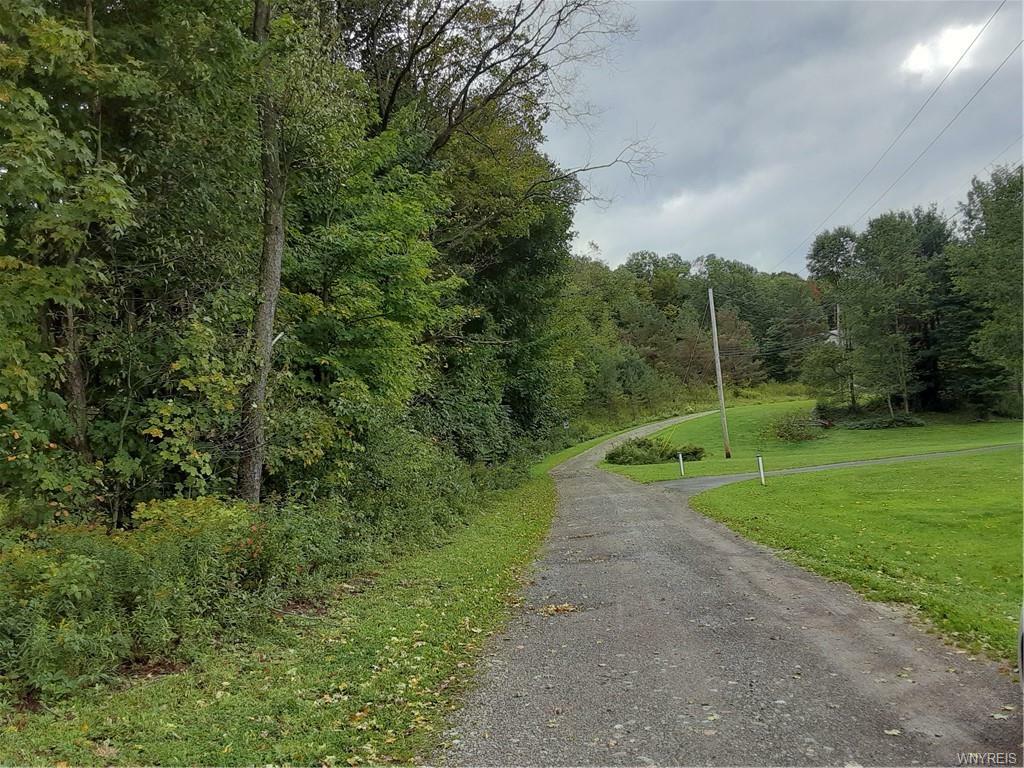 Property Photo:  0 Rooster Hill Road  NY 14731 