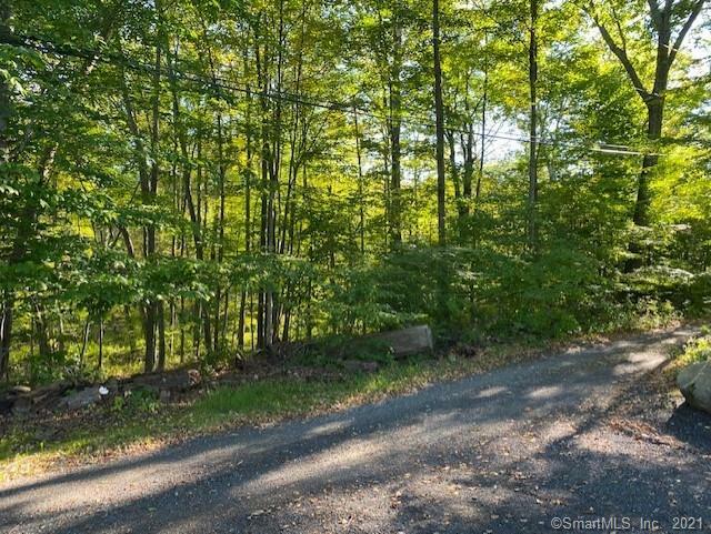Property Photo:  8 Hewlett Road  CT 06812 