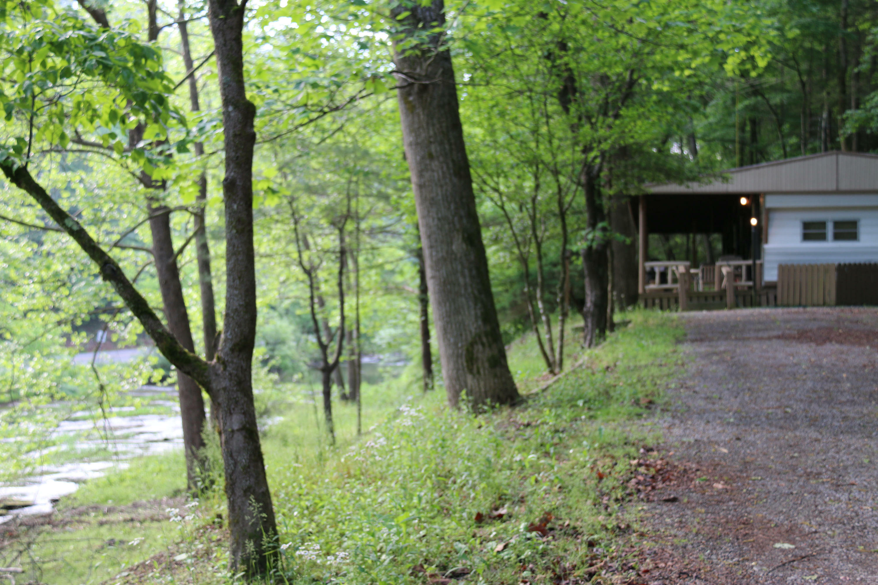 Property Photo:  4258 Richardson Cove Rd  TN 37876 