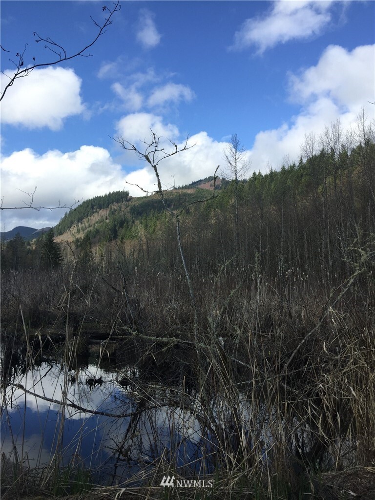 Property Photo: 0 Old Hwy 99 N WA 98229