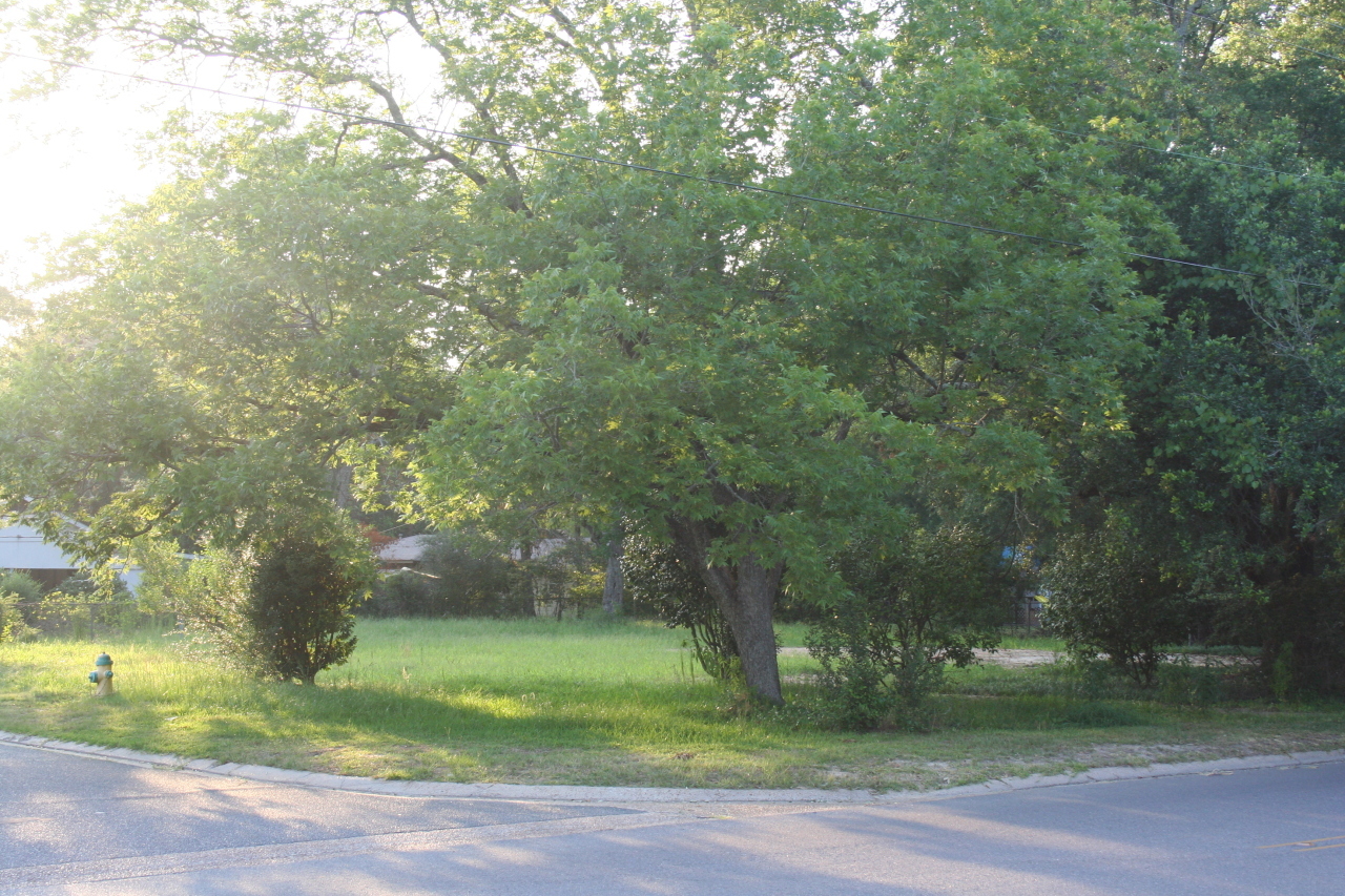 Property Photo:  Texas  LA 70634 