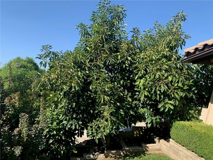 Property Photo:  5504 Inner Circle Drive  CA 92506 
