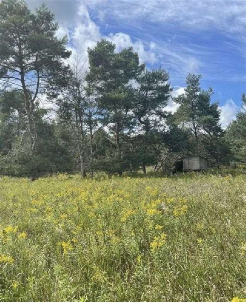 Property Photo: 4113 N M-66 MI 49727