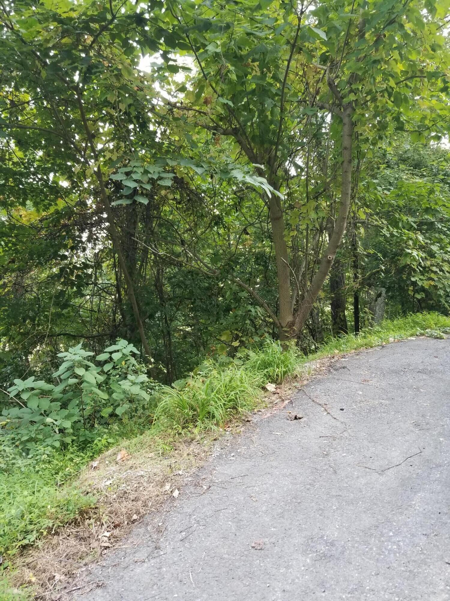 Property Photo: Overholt Tr TN 37876