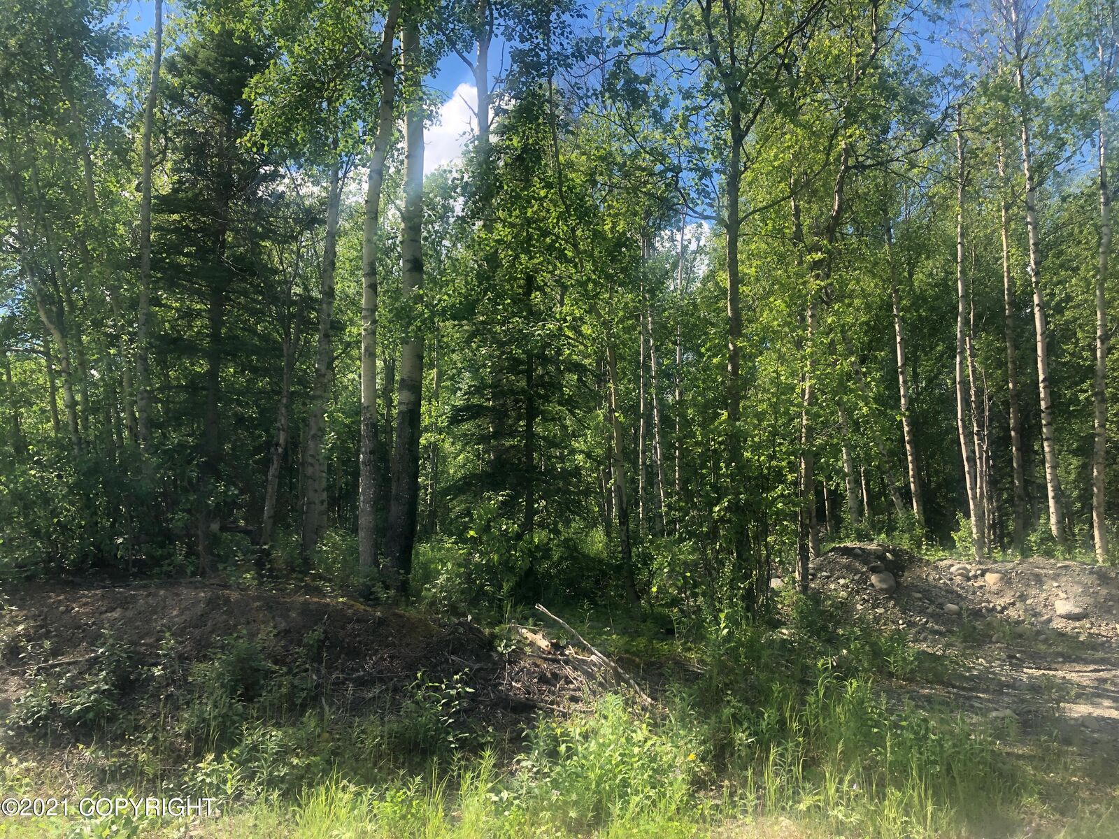 Property Photo: L4 B3 N Cedarwood Drive AK 99654