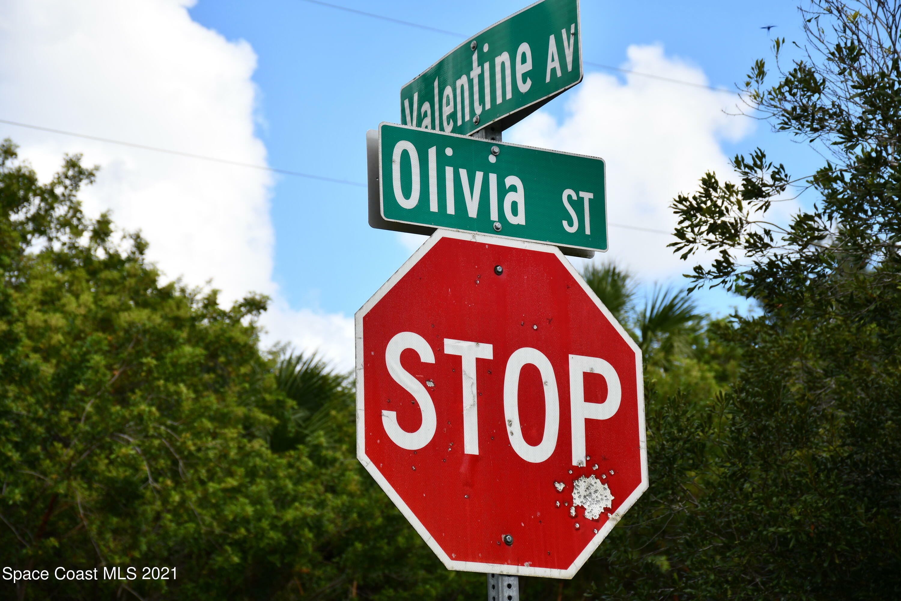 Property Photo:  629 Olivia Street SW  FL 32908 