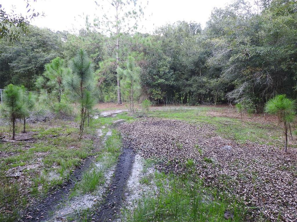 Property Photo:  1123 Saddlewood Boulevard  FL 33809 