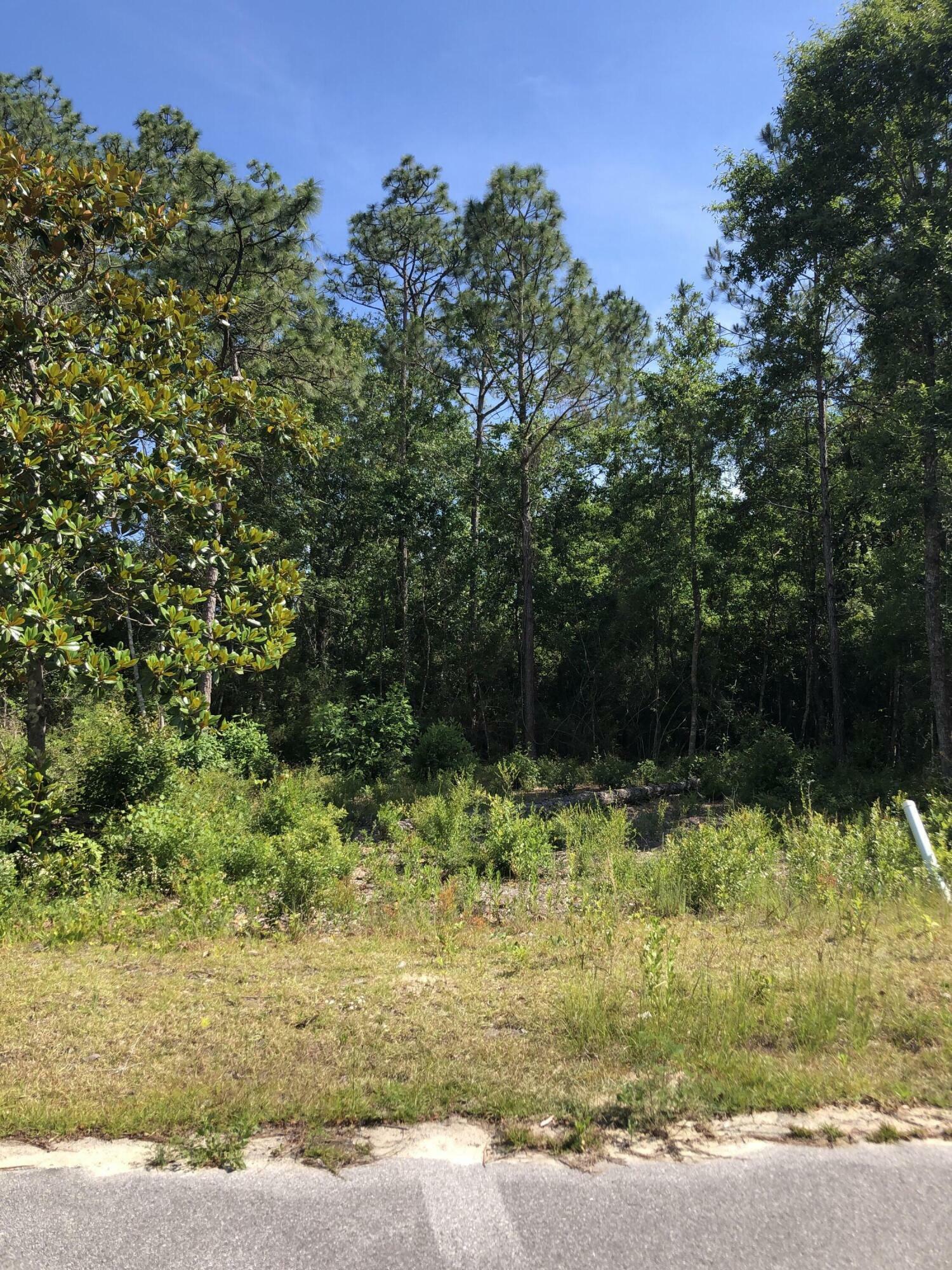 Property Photo:  Lot 6 Sandhill Court  FL 32439 