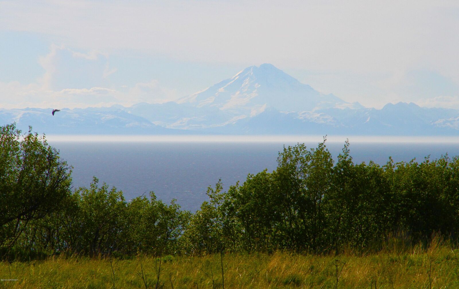 Property Photo: L11 Sunset Drive AK 99639