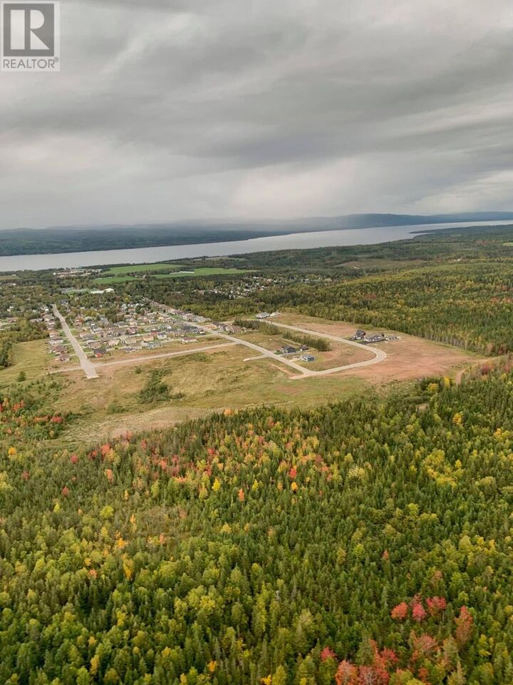 Property Photo:  22 Harvey Wight Crescent  NL A0L 1K0 