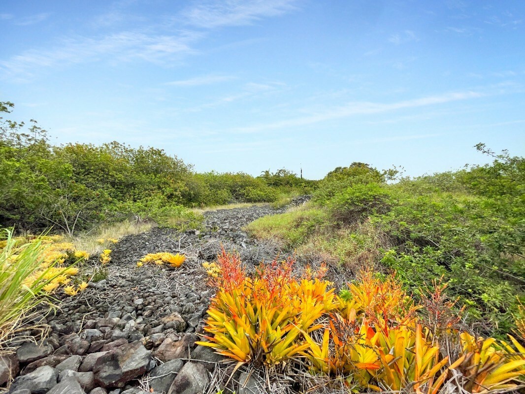 Puukani Rd  Naalehu HI 96772 photo