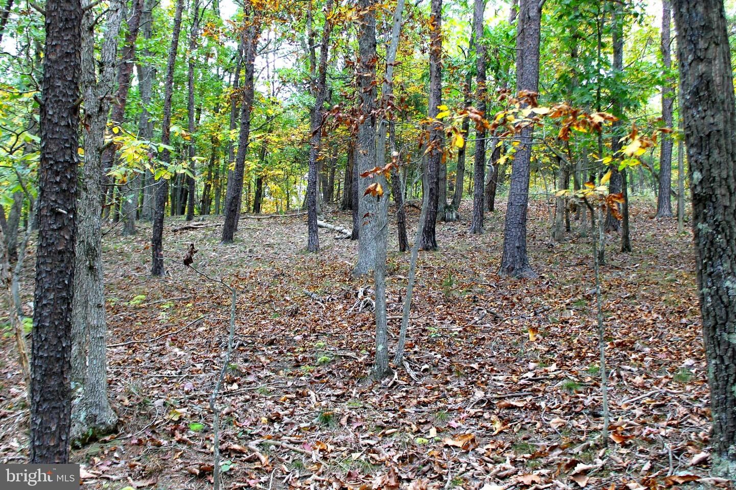 Property Photo:  Ebert Road  WV 26710 
