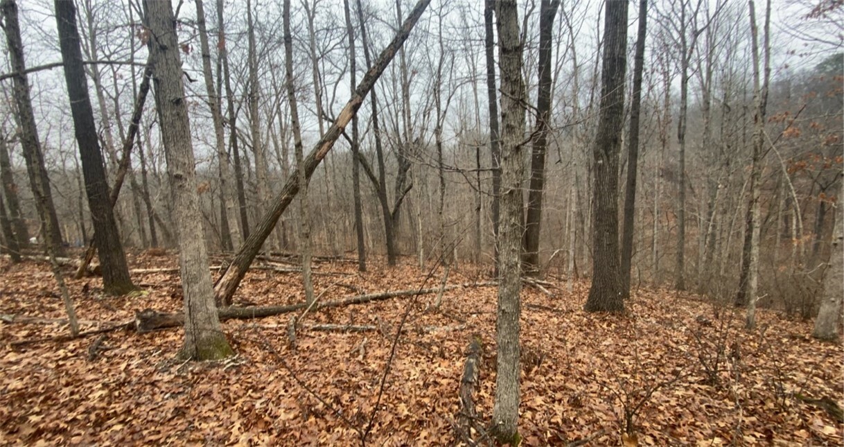 Property Photo:  Lot 26, Block 3 Runnymede Lane  AR 72715 